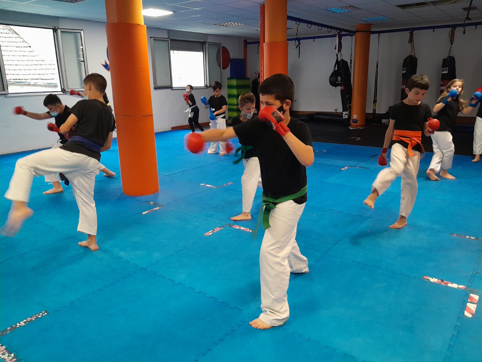 Contact Karate en el Gimnasio Pedregal